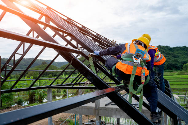 Best Roof Installation Near Me  in Pinckneyvle, IL