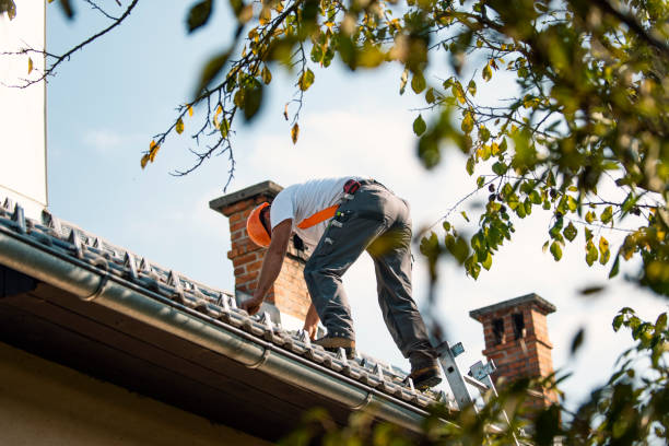 Best New Roof Installation  in Pinckneyvle, IL