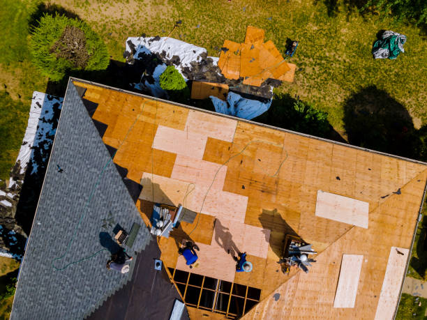 Best Roof Gutter Cleaning  in Pinckneyvle, IL