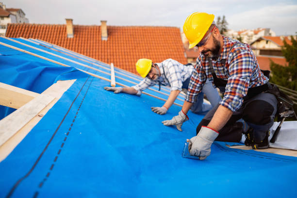 Professional Roofing Contractor in Pinckneyville, IL