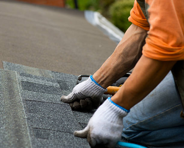 Best Roof Repair Services  in Pinckneyvle, IL