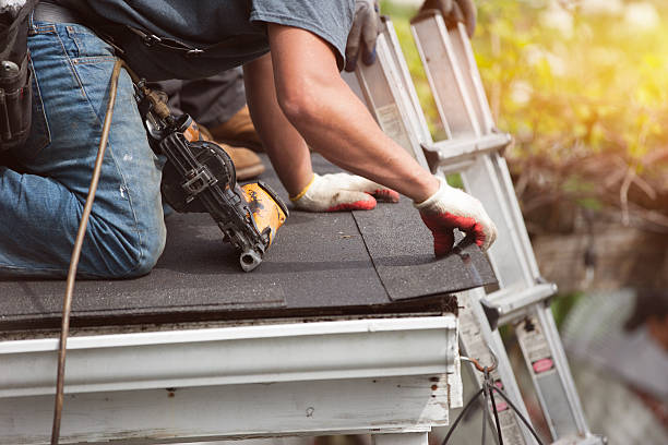 Best Shingle Roofing Installation  in Pinckneyvle, IL