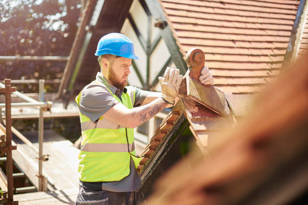 Best Roof Maintenance Services  in Pinckneyvle, IL