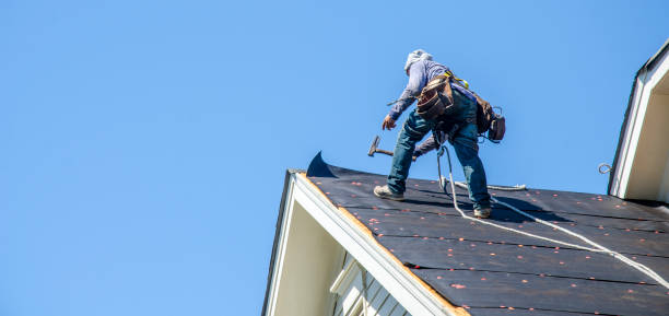 Best Roof Waterproofing Services  in Pinckneyvle, IL